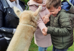 uczestnicy i pracownicy ŚDS i alpaki